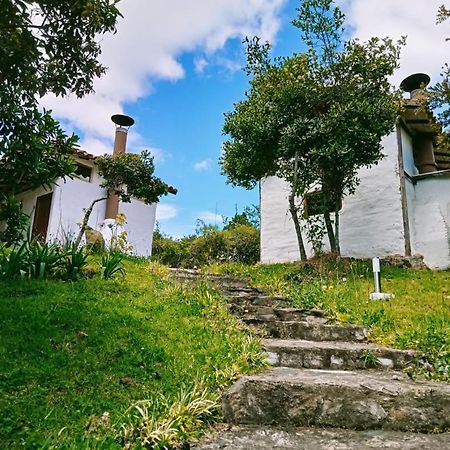Jardin Colibri Rnt 33633 Villa Guatavita Dış mekan fotoğraf