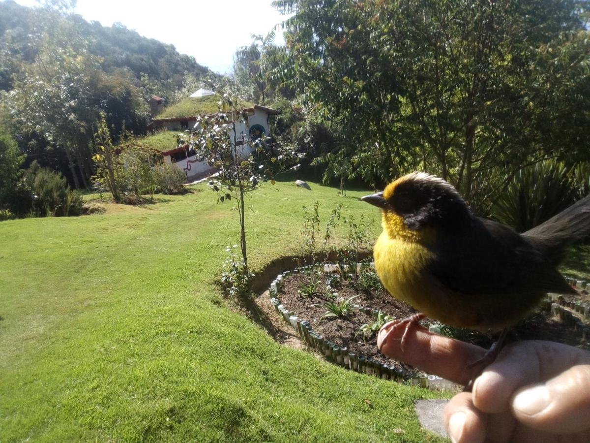 Jardin Colibri Rnt 33633 Villa Guatavita Dış mekan fotoğraf
