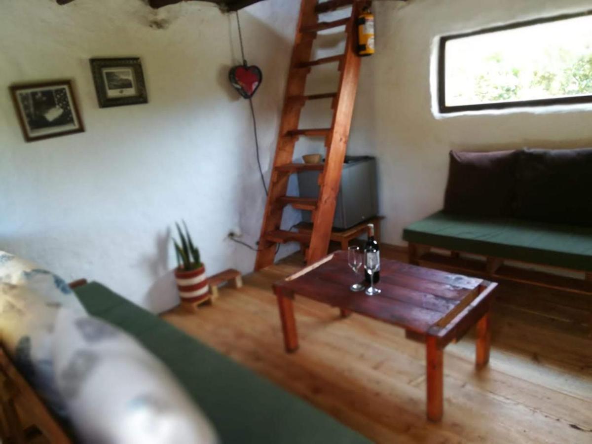 Jardin Colibri Rnt 33633 Villa Guatavita Dış mekan fotoğraf