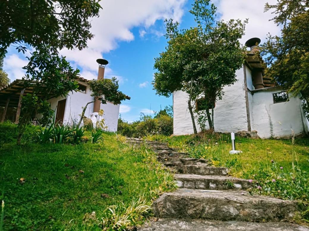 Jardin Colibri Rnt 33633 Villa Guatavita Dış mekan fotoğraf