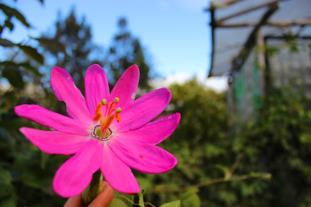 Jardin Colibri Rnt 33633 Villa Guatavita Dış mekan fotoğraf