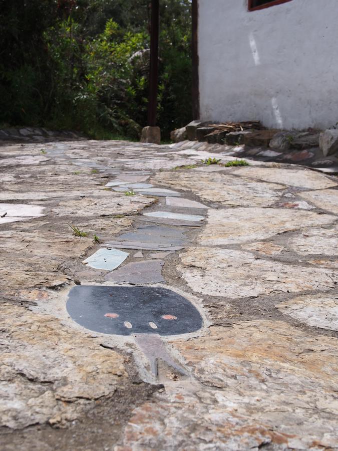 Jardin Colibri Rnt 33633 Villa Guatavita Dış mekan fotoğraf