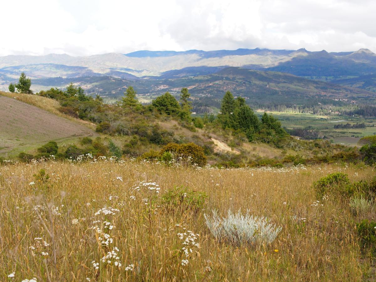 Jardin Colibri Rnt 33633 Villa Guatavita Dış mekan fotoğraf